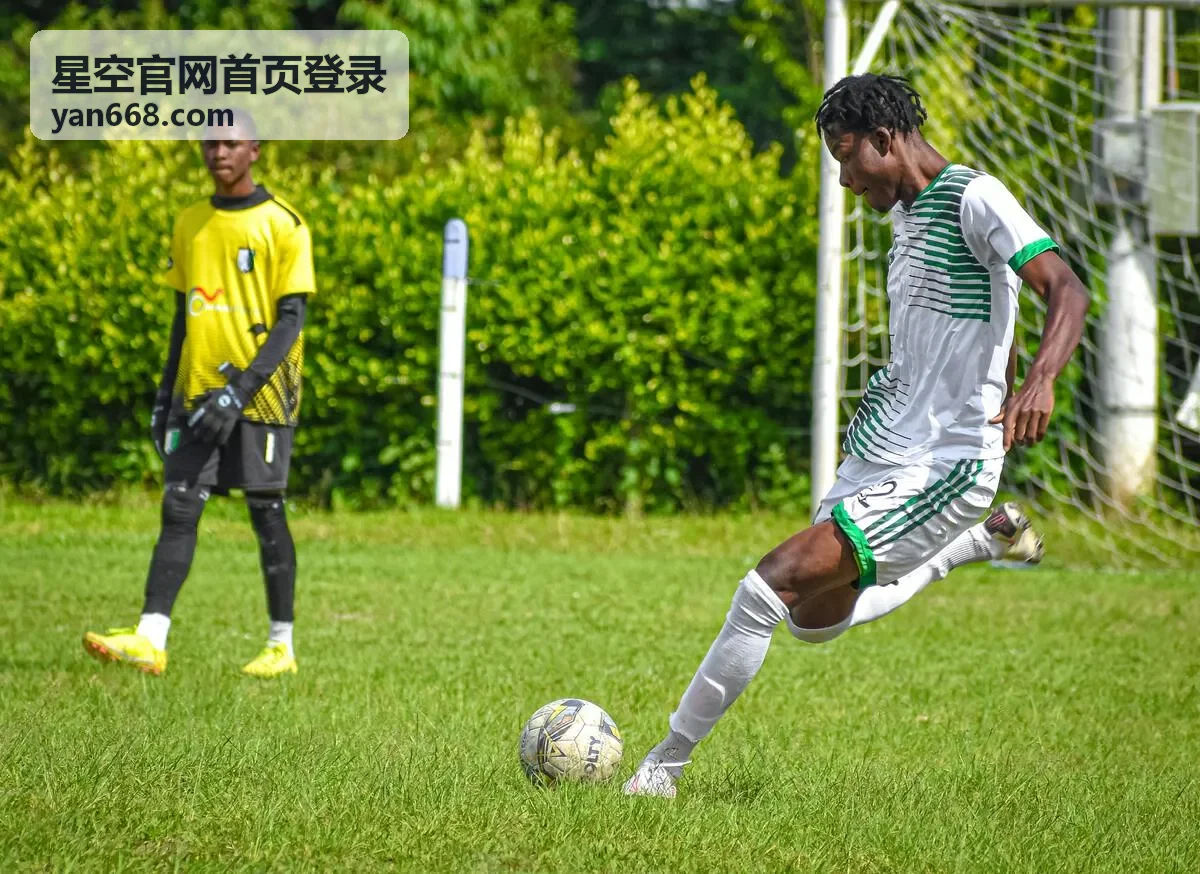星空官网首页登录完成后的功能导航