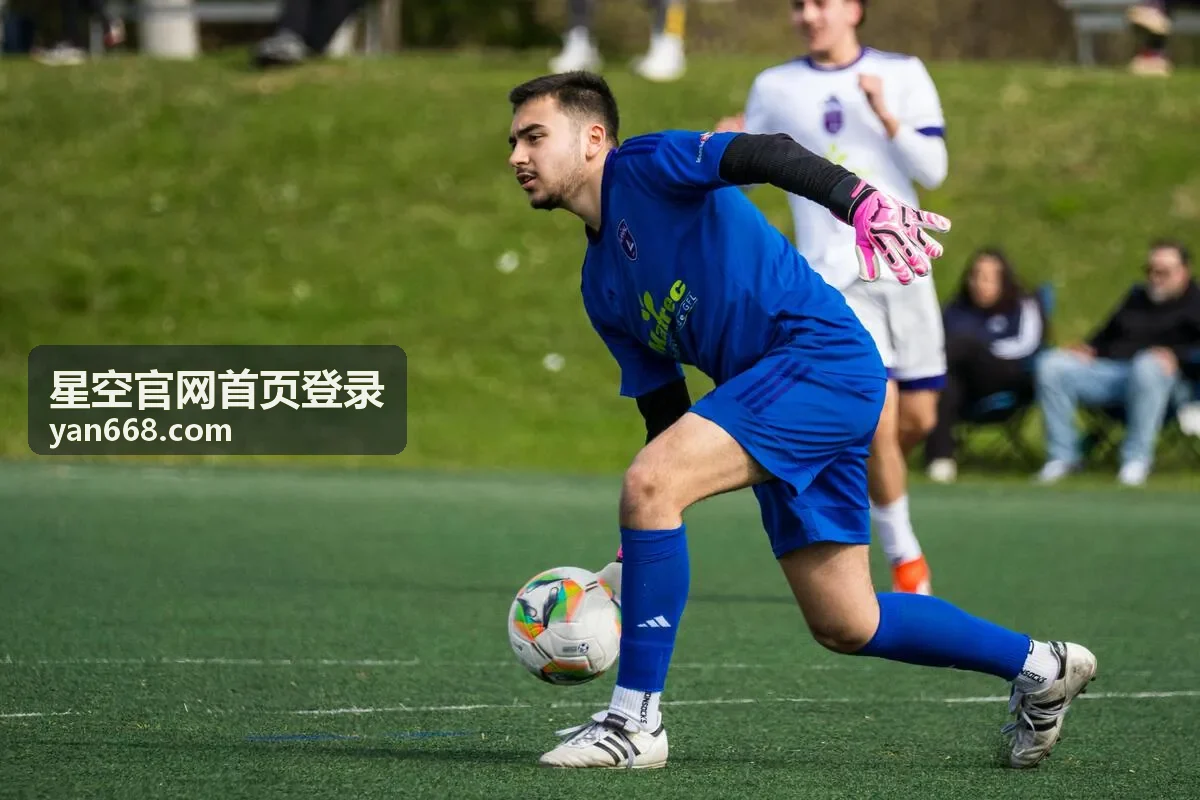 星空官网首页登录验证码与设备确认流程